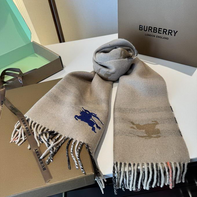 Burberry Scarf ID:20260120-65